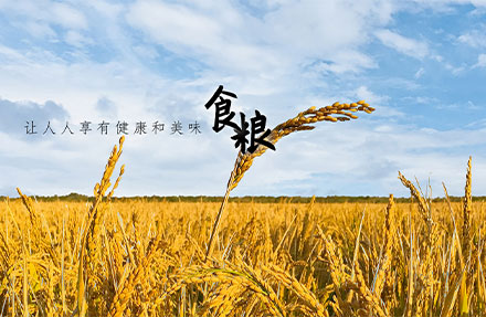 北京高端網站建設公司-國瑞米業